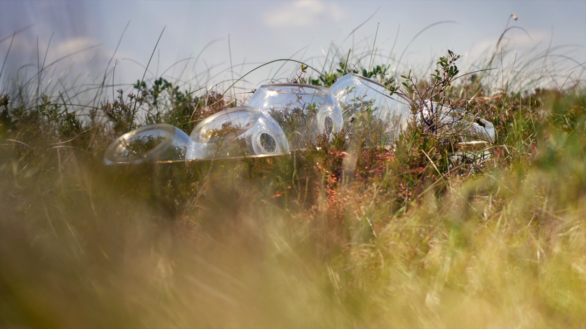 A series of interconnected clear glass bubbles sit in the landscape. The glass is partially filled with water.